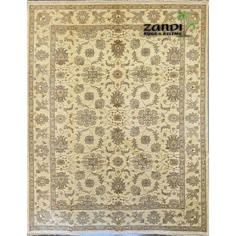 Hand knotted Pakistani Khotan design rug size 9'1''x12'0'' RR10198